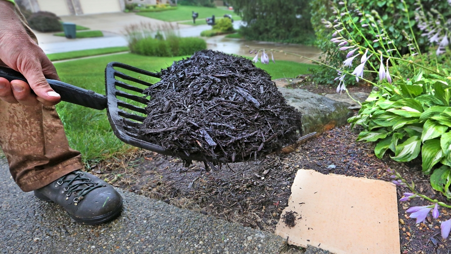 man shoveling mulch